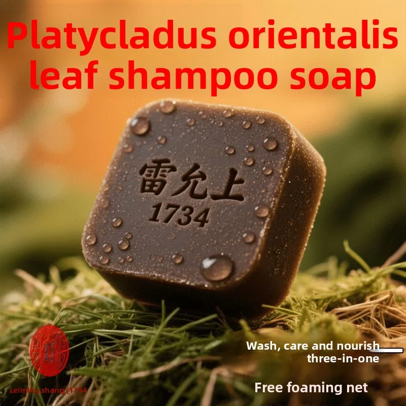 Cacumen Platycladi Black Ganoderma Polygonum Multiflorum Shampoo Bar Nourishes Hair Controls Oil and Keeps SmoothNot a Washbasin