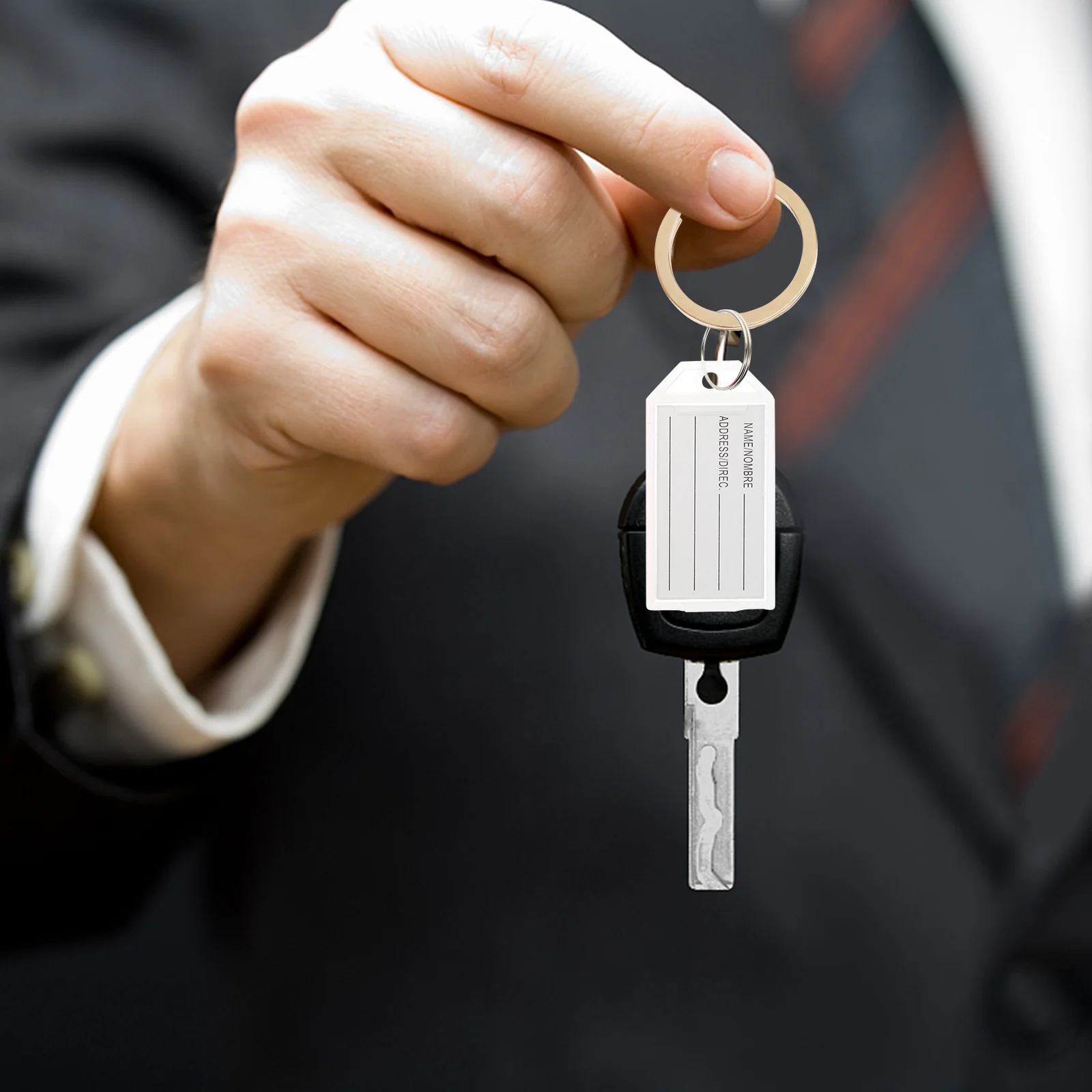 

30Pcs Colorful Label Tags Versatile Plastic Key Classification Tag for Temporary Id Tag Key Chain Label with Split Ring Design