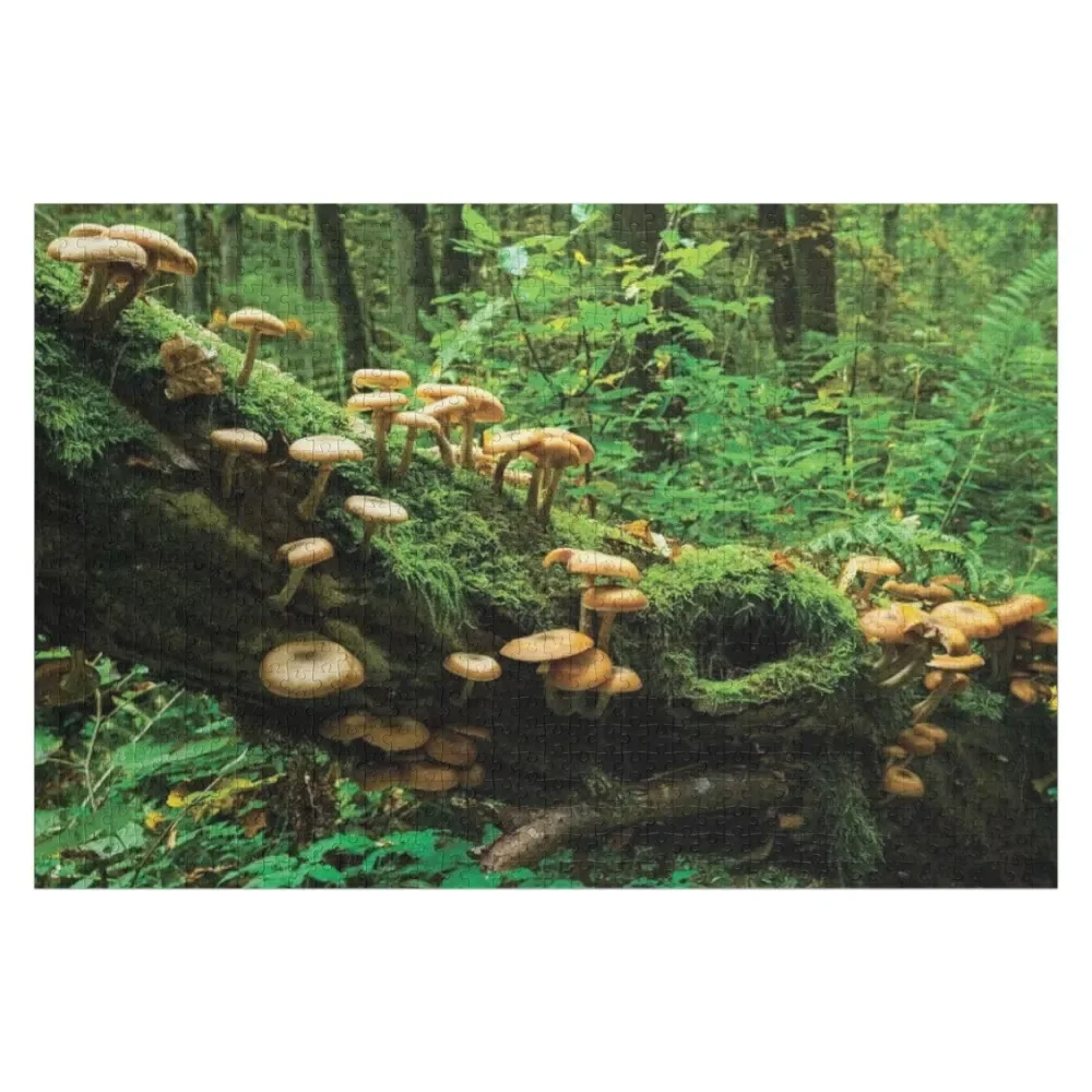 

Bialowieza Forest Mushrooms Jigsaw Puzzle Personalized Gifts Personalize Toys For Children Custom Wood Puzzle