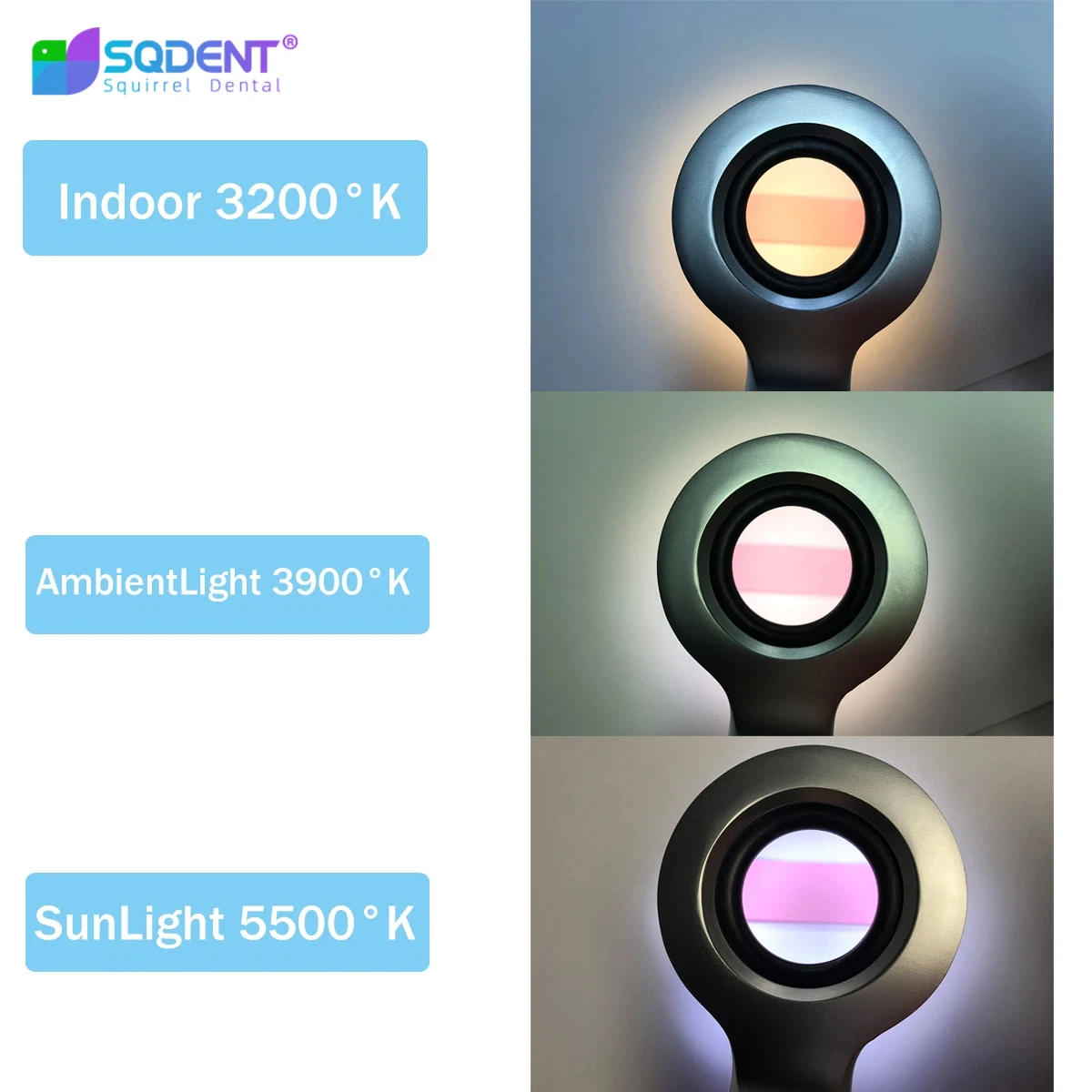 SQDENT 12LED Lights Dental Cosmetic Restoration Colorimetric LED Colorimetric Lamp Oral  Dental TRI Spectra LED Shade Matching