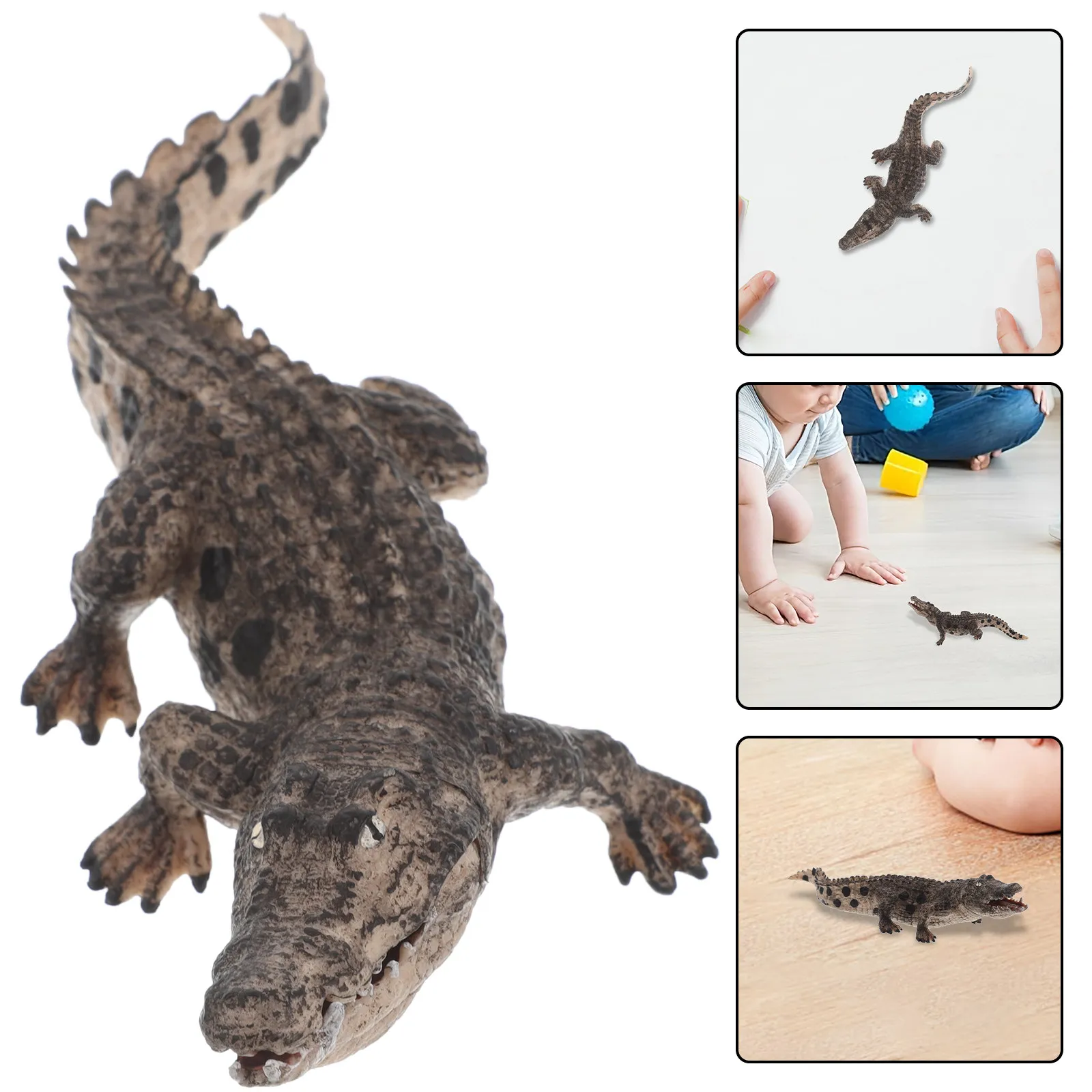 figura-educativa-realistica-di-coccodrillo-con-mandibola-apribile-per-bambini-gioco-interattivo-di-rettili-per-aula-e-casa