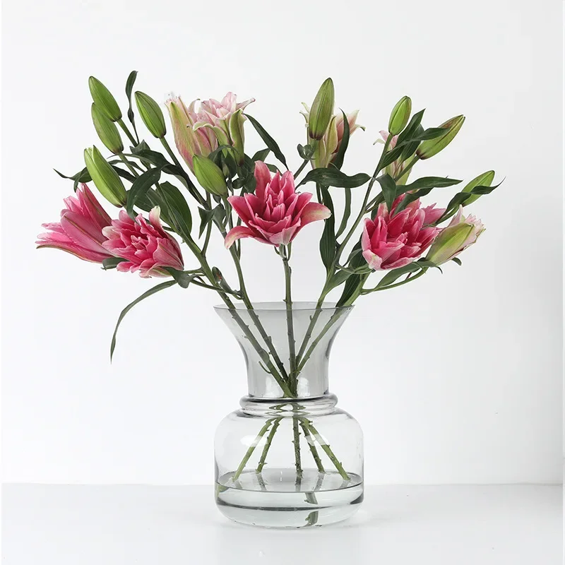 Glass Vase Transparent Hydroponic Dry Flower Bottle Northern Europe Vases Table Living Room Flower