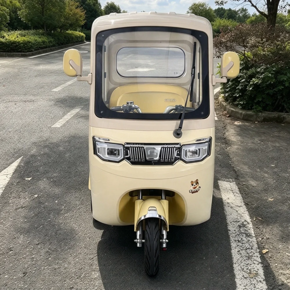 Electric three wheel cargo tricycle, wide rear wheel track, better stability when loading heavy goods