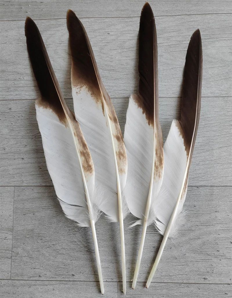 10Pc 12-16inches 30-40cm Natural Eagle Quill Feathers for Carnaval,DIY Headdress Accessories Clothing Decorations