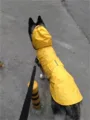 Yw