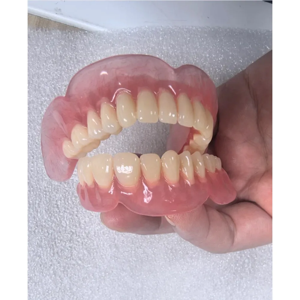 Full Senior Teeth Full Teeth Model Display Supplies Full Dentures Removable Dentures Prosthodontics Dental Student Training