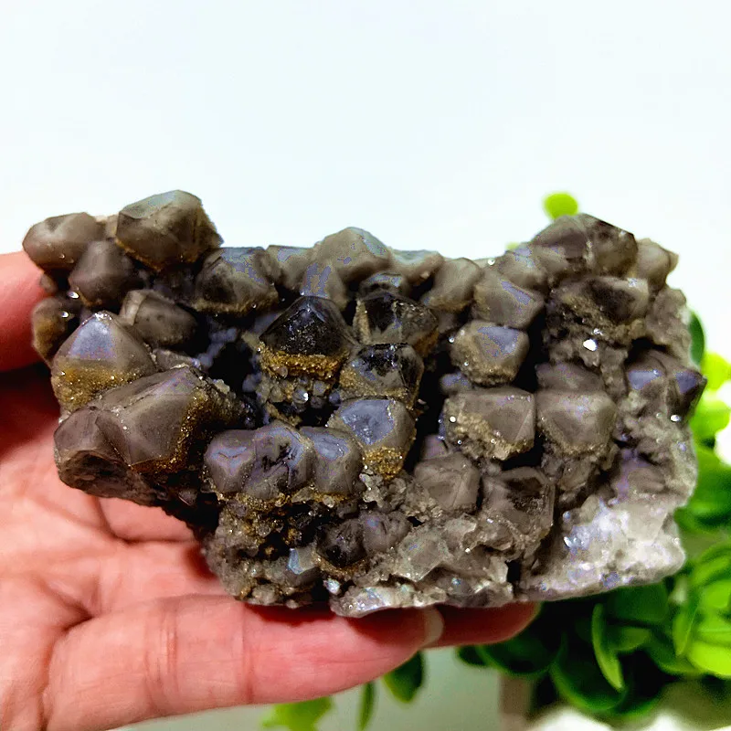 Natural Stones Quartz Crystal Clusters Enclosed In Tea-colored Quart Mineral Samples Witchcraft Energy Feng Shui Room Decoration