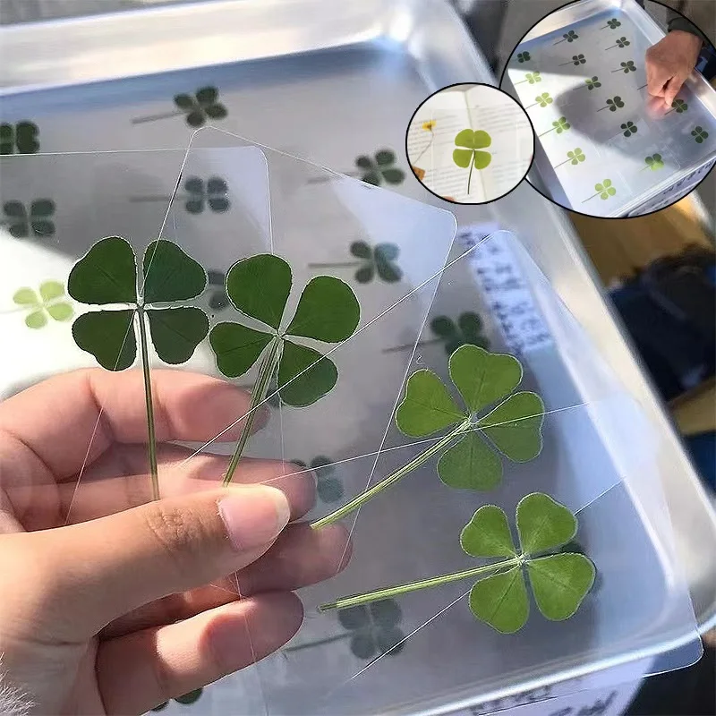 5PCS Lucky Four-Leaf Clover Bookmark -  Transparent Card, Simple Style Wishing Bookmark