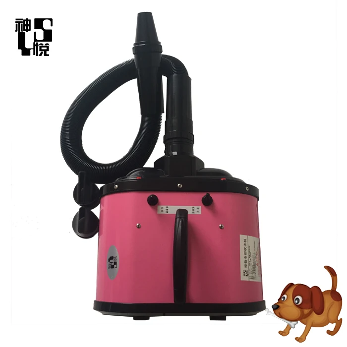 Machine de toilettage pour animaux de compagnie à double moteur, haute puissance, soufflage de poils d'animaux, sèche-linge pour chien