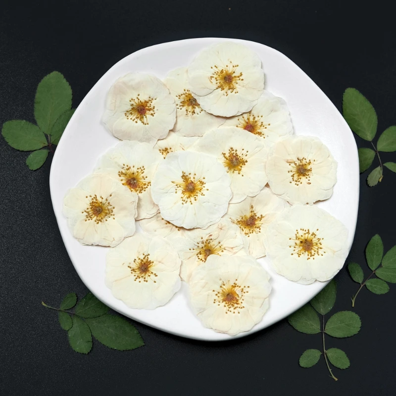 6 pezzi, 9 pezzi, rosa bianca naturale pressata fiori fai da te foglie di rosa secche per resina epossidica sigillo di cera timbro cornice per foto regalo campione