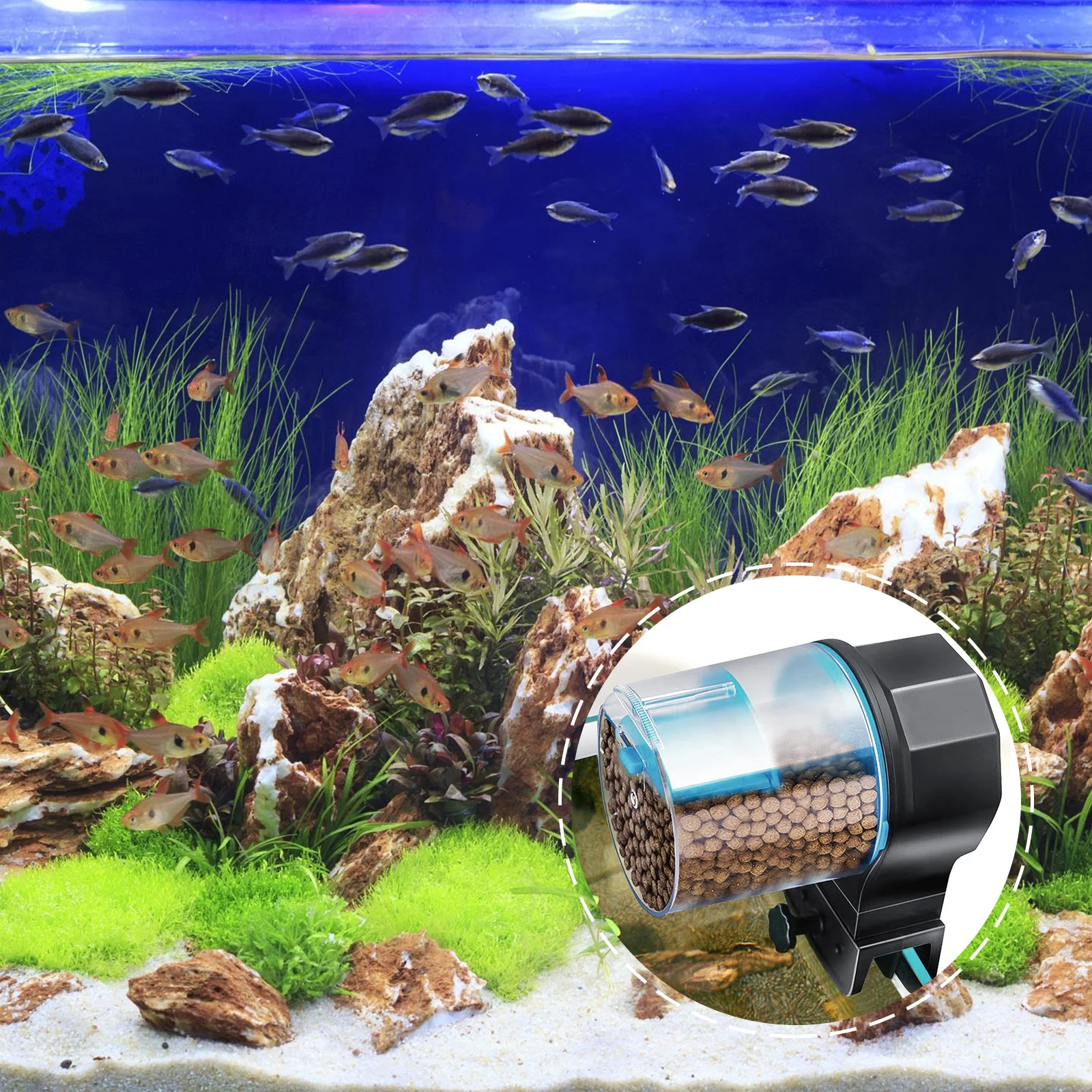 

1 set Automatic Small Large Capacity Adjustable Port Blue Mode Fish Tank Feeding Device Aquarium Turtle Feeder
