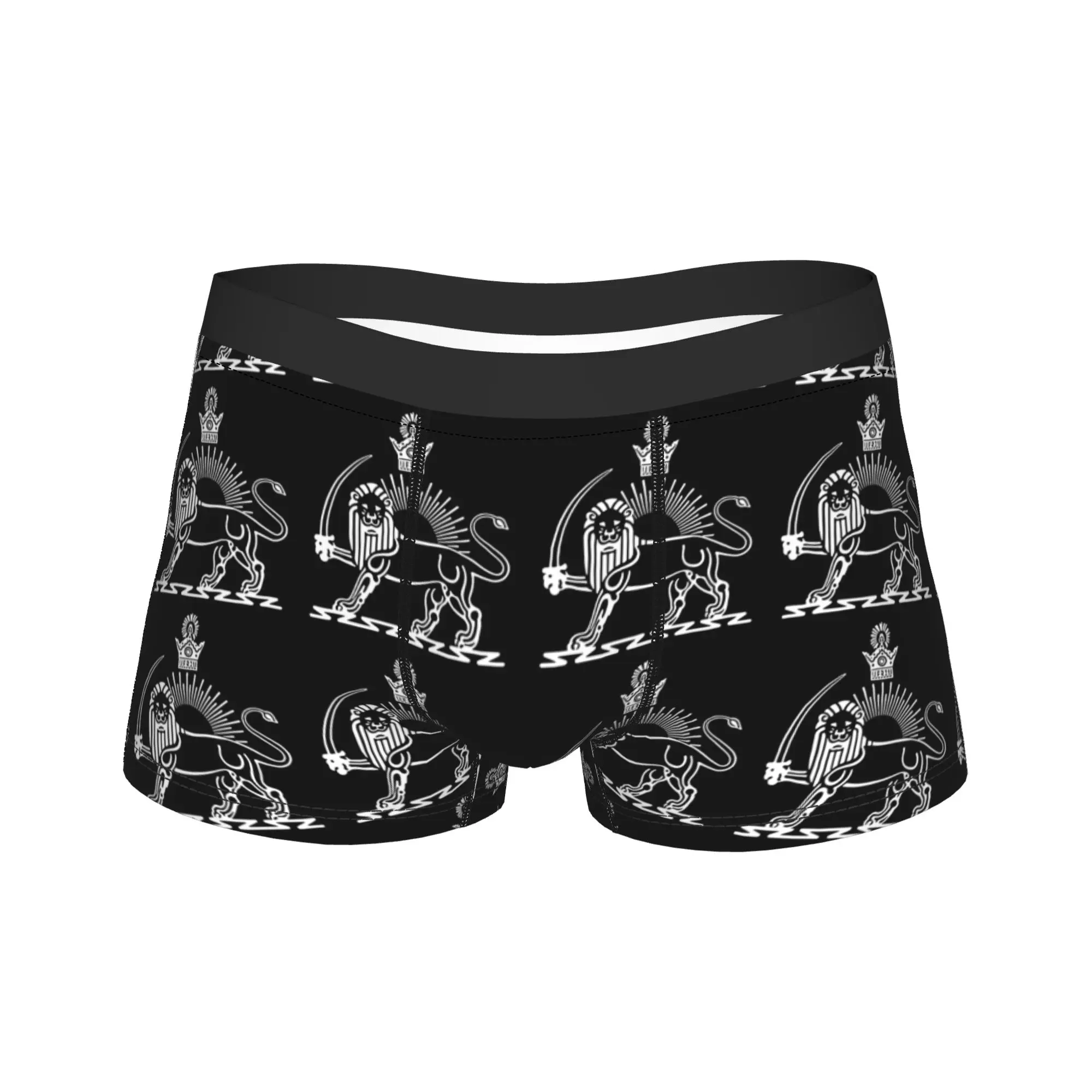 

Flag Of Iran Iranian Underwear Man Panties Printed Breathable Boxershorts High Quality Boxer Brief Big Size 2XL