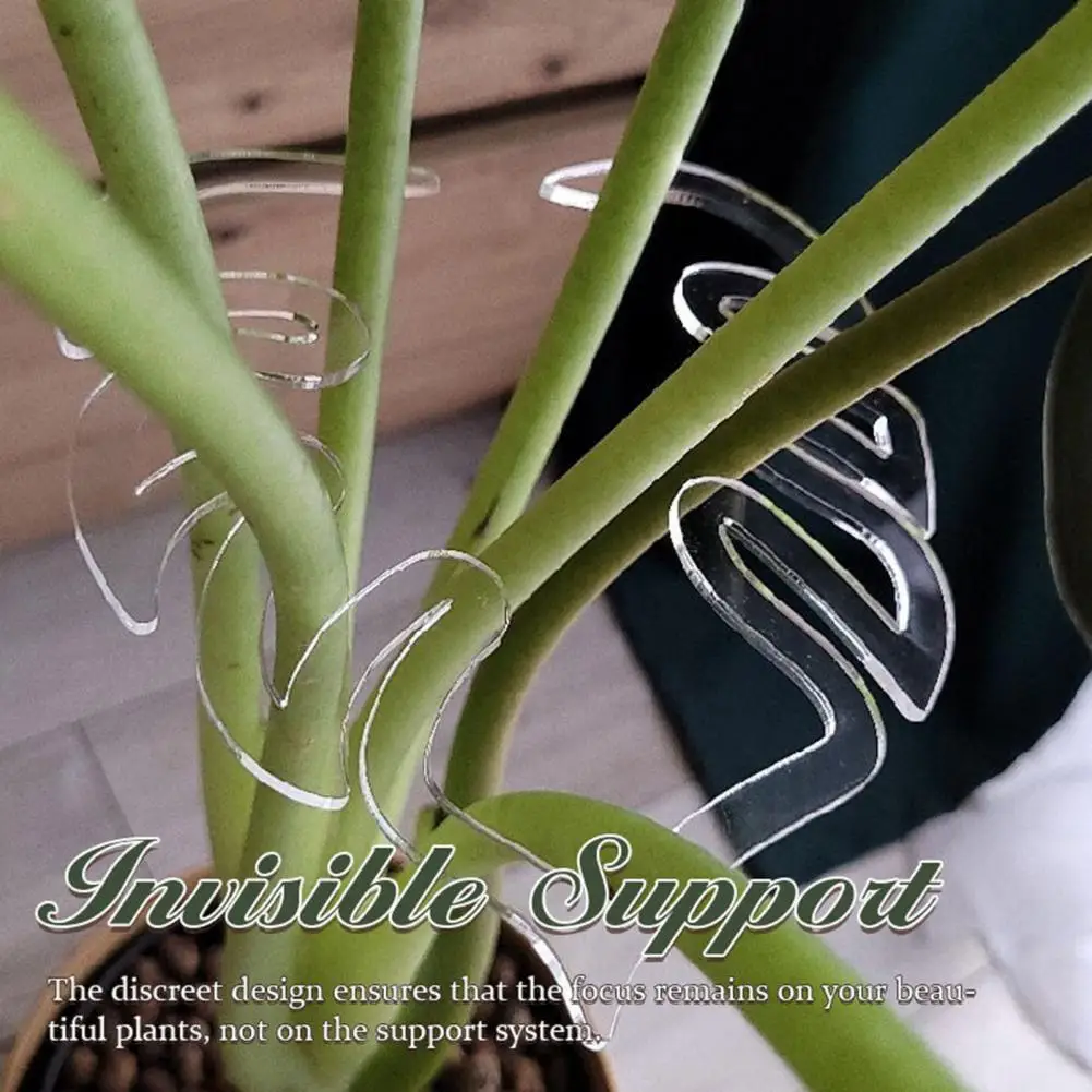 Easy to Install Monstera Grapple Plant Support Clips Heavy Duty Plastic Monstera Stem Holder for Vertical Plant for Monstera