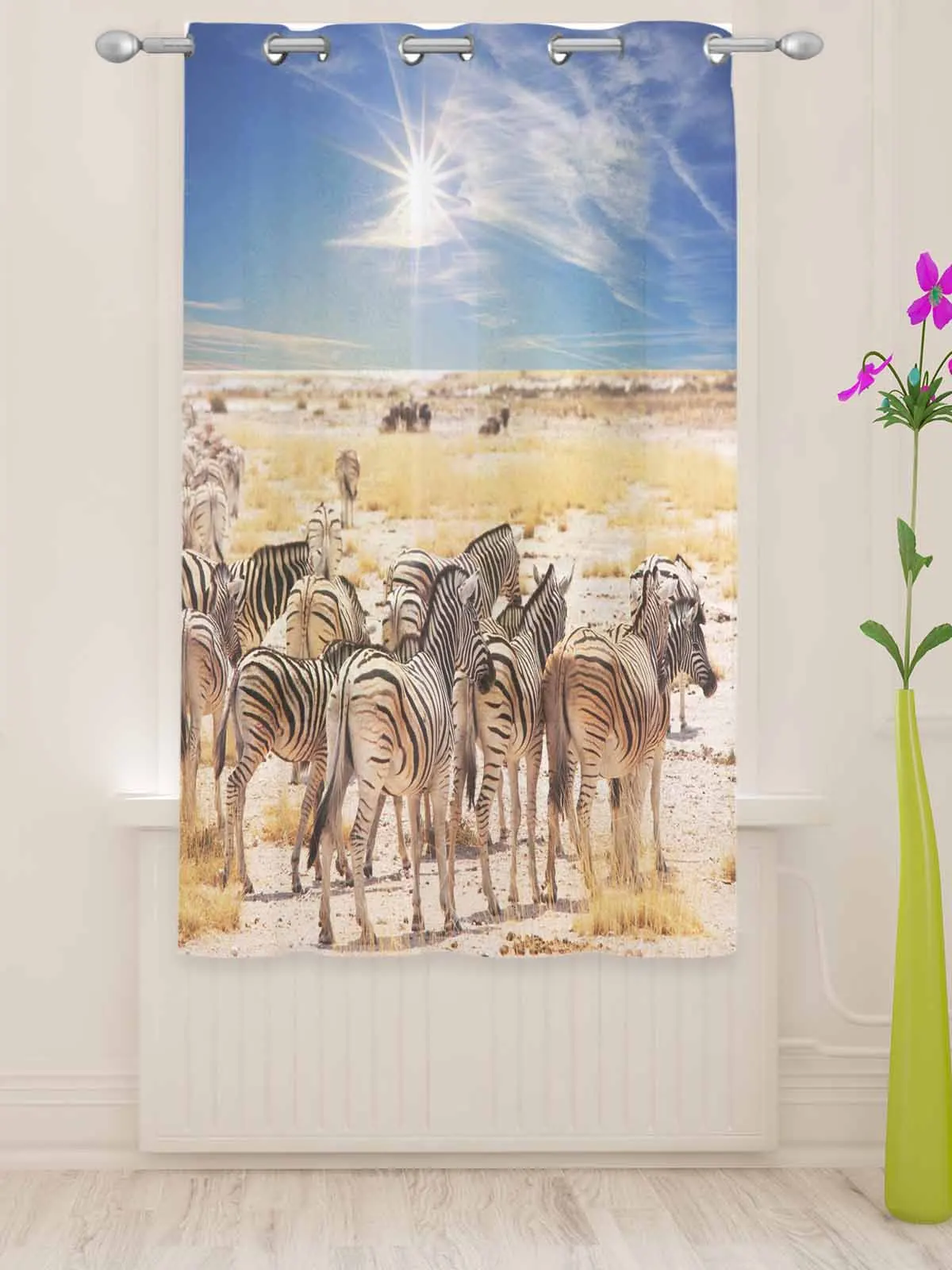 Zebra Sky Sun Grassland Sand Tulle Curtain Decorative Sheer Curtains for Living Room Bedroom Kitchen Hotel Home At Window Panels