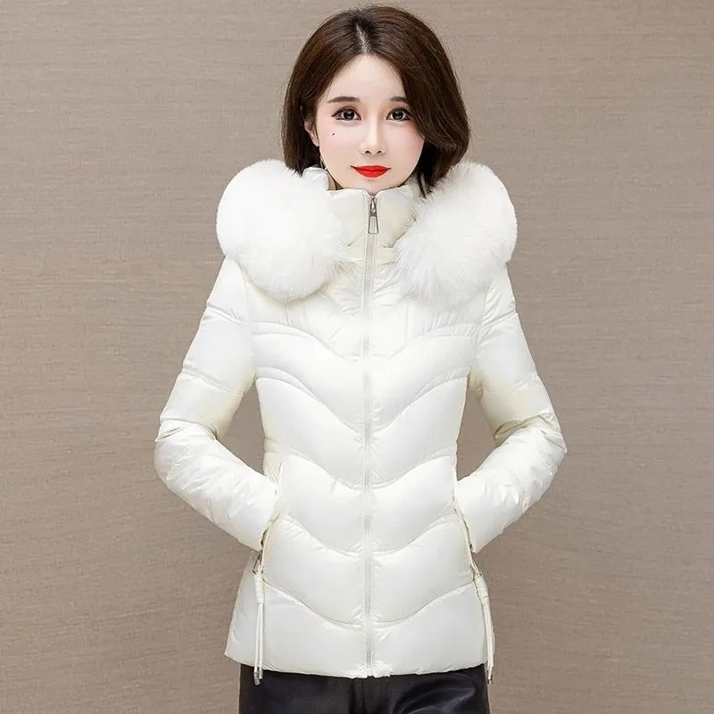 

2023 New Warm Thicke Slim Down Jacket Women Winter Short Jacket Hooded Fur Collar Cotton Coat Korean Female Parkas Basic Coat