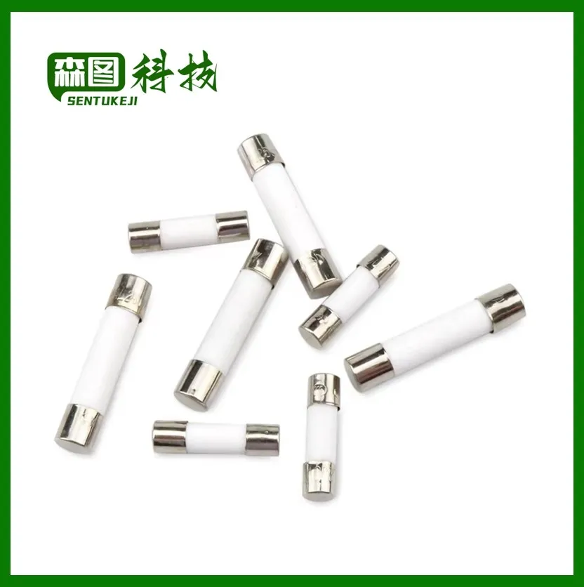 10 stücke Keramik sicherung 5mm x 20mm langsamer Schlag t 0,5 a 1a 2a 3a 4a 5a 6a 8a 10a 13a 15a 16a 20a 250v