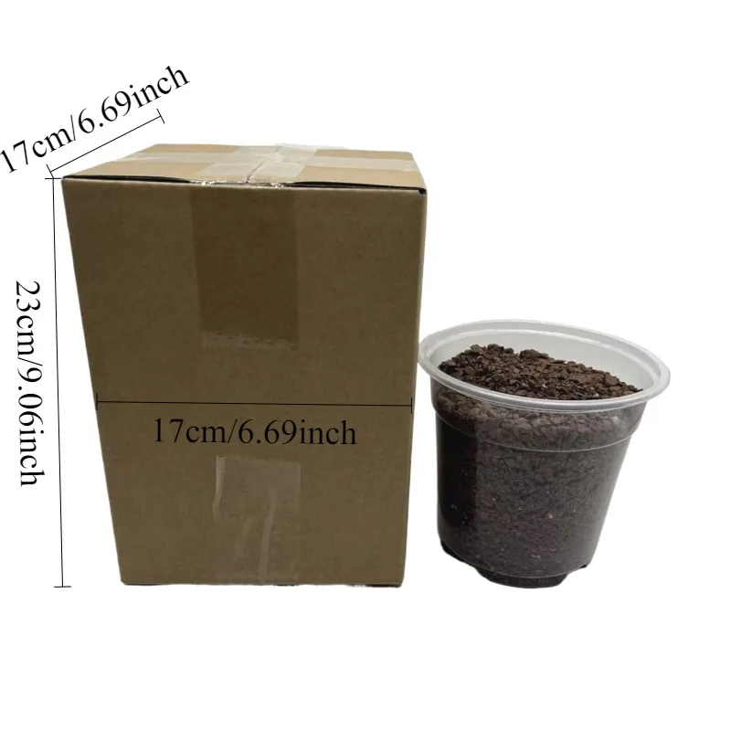 10 ชิ้น Express กล่องย้ายกล่องกระดาษลูกฟูกแพคเกจกล่องเก็บ Craft Heavy Duty การจัดส่งกล่องบรรจุ