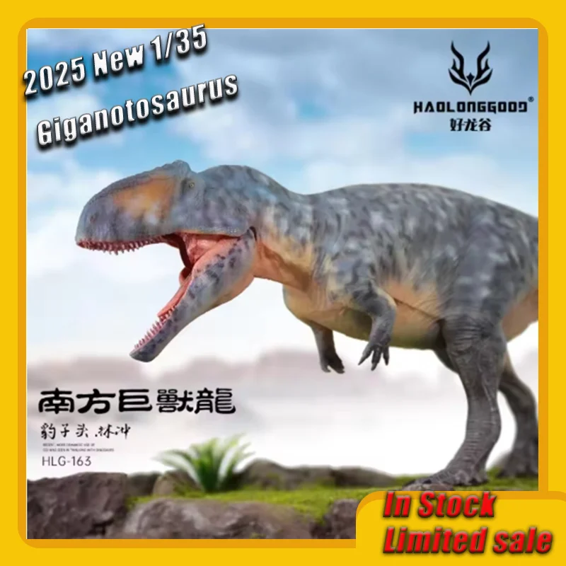 

2025 New HaoLongGood Giganotosaurus PVC Model Statue Jurassic Dinosaurs Figure Toys 1/35 Paleontology Handmade Collection Gift