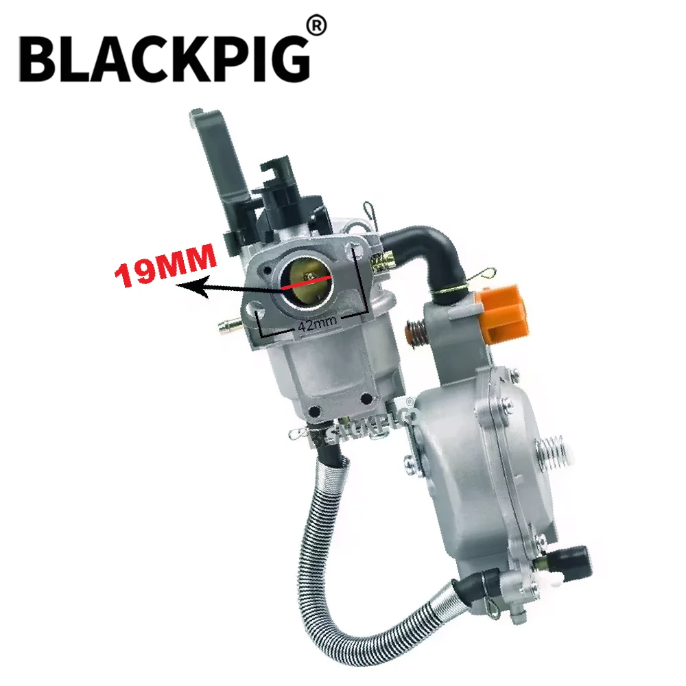 2-3KW GX160 GX200 Generator Type Dual Fuel LPG Carburetor For 168F 170F 6.5HP Gasolina Generator LPG Conversion kits 19MM Size