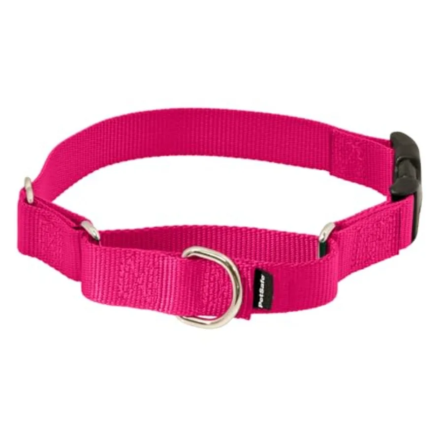 Raspberry Martingale Dog Collar with Quick Snap Buckle
