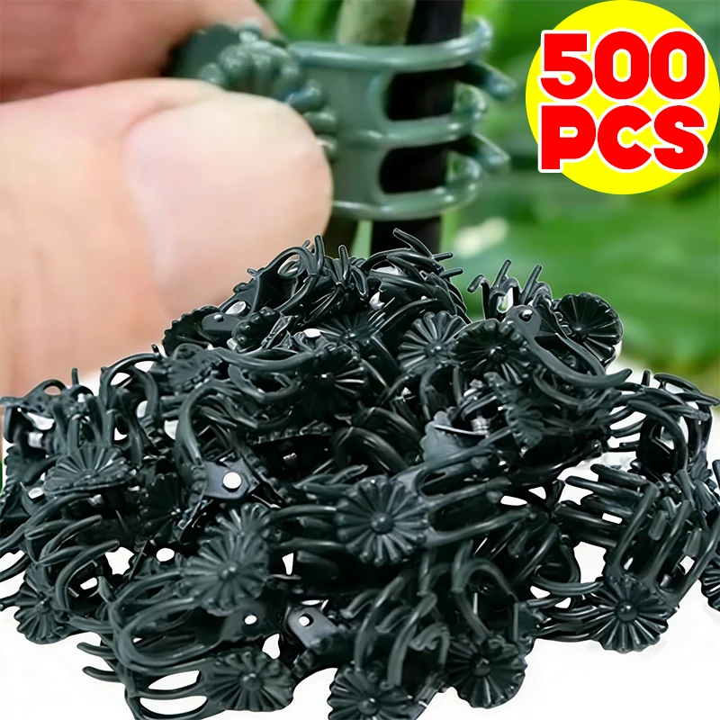 Wholesale Mini Plan…