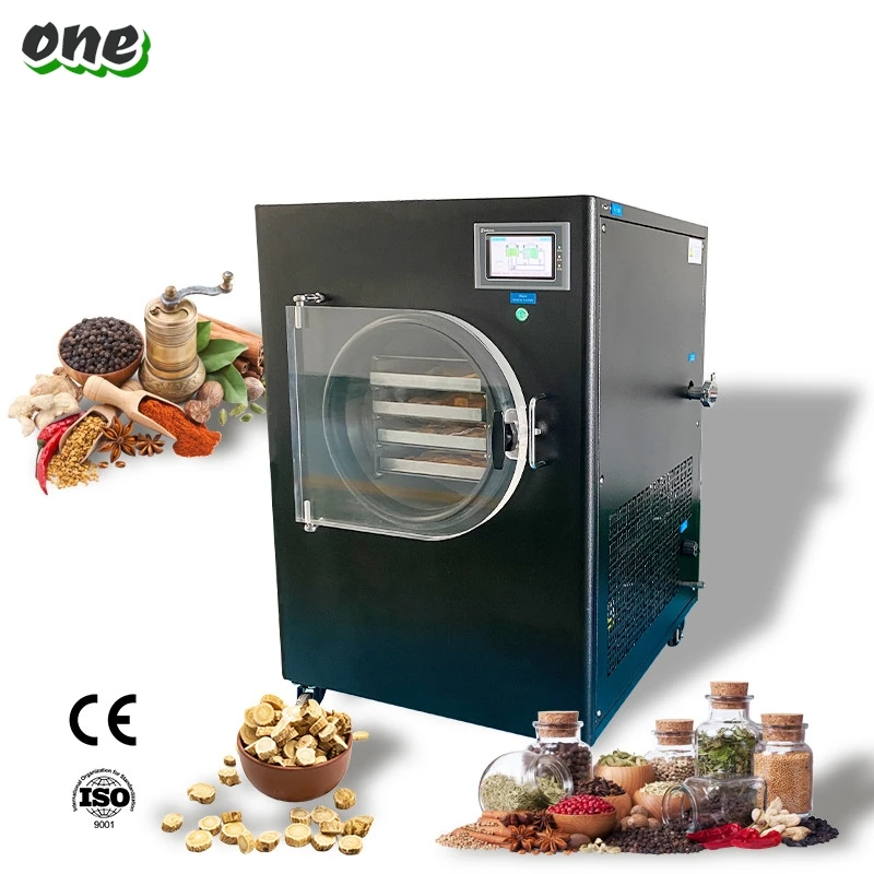 New Lyophilizer Food Machine Freeze Dried Fruit And Vegetable Liofilizador