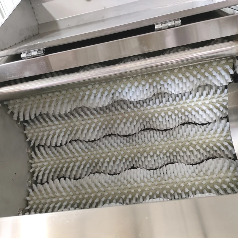 Peralatan Pencuci Pemoles Wortel Kentang Industri dan Mesin Pengupas Singkong