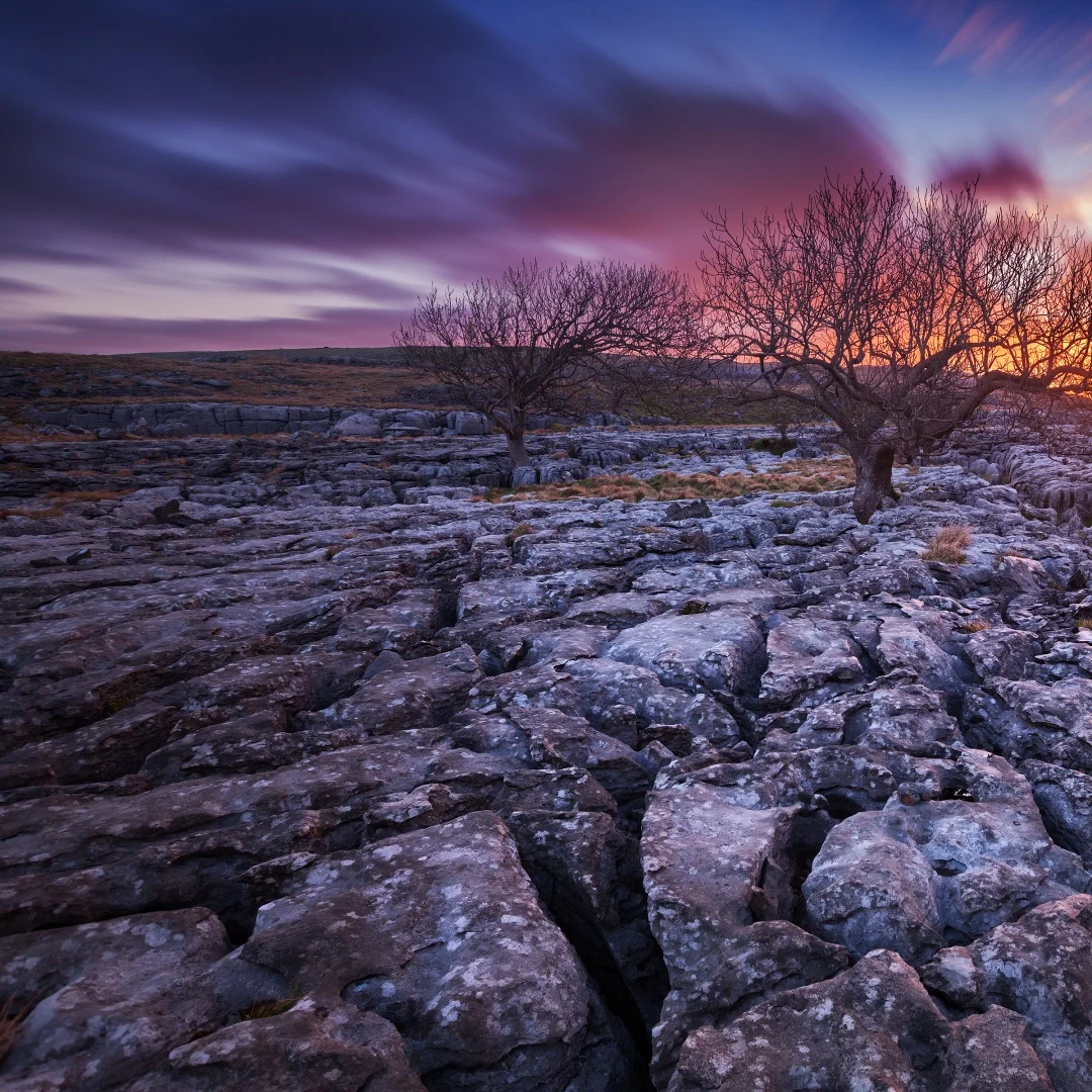 12.3" Lcd Dashboard…