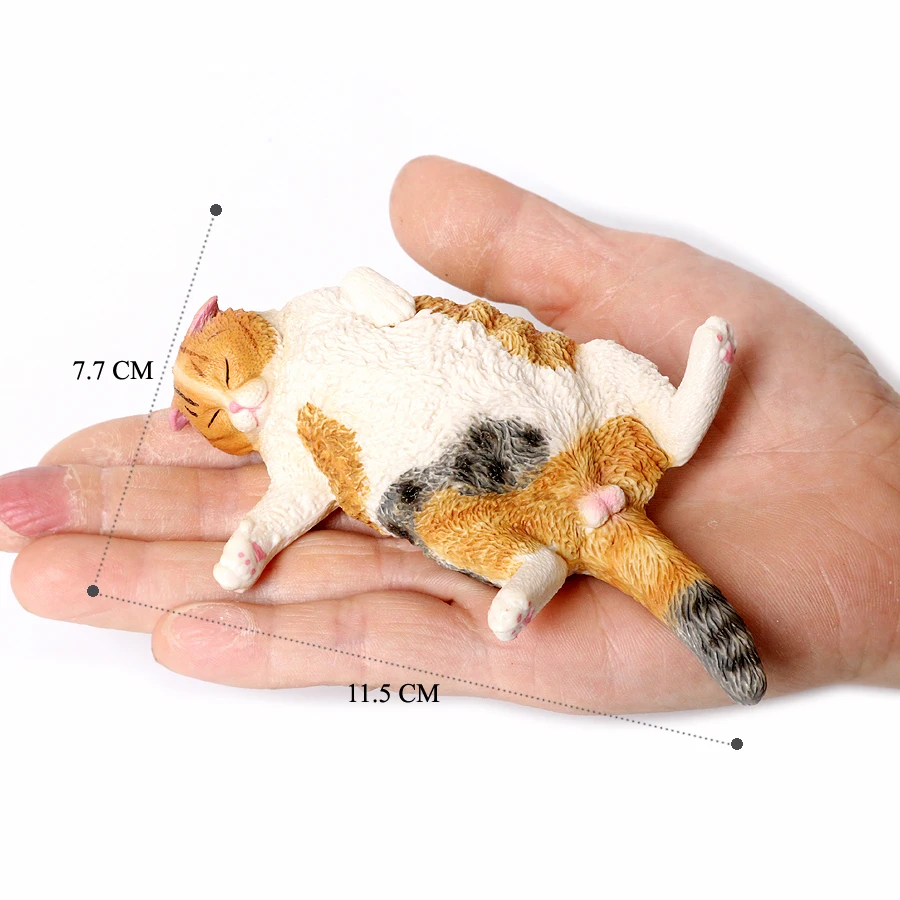 Cat -37