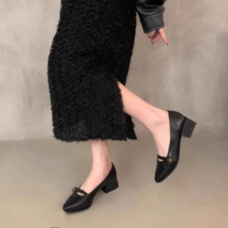 French Vintage Chunky Heel Mary Jane Shoes 2026 New - Pointed Toe Camellia Buckle Pumps, Mid Heel Office Work Shoes for Women