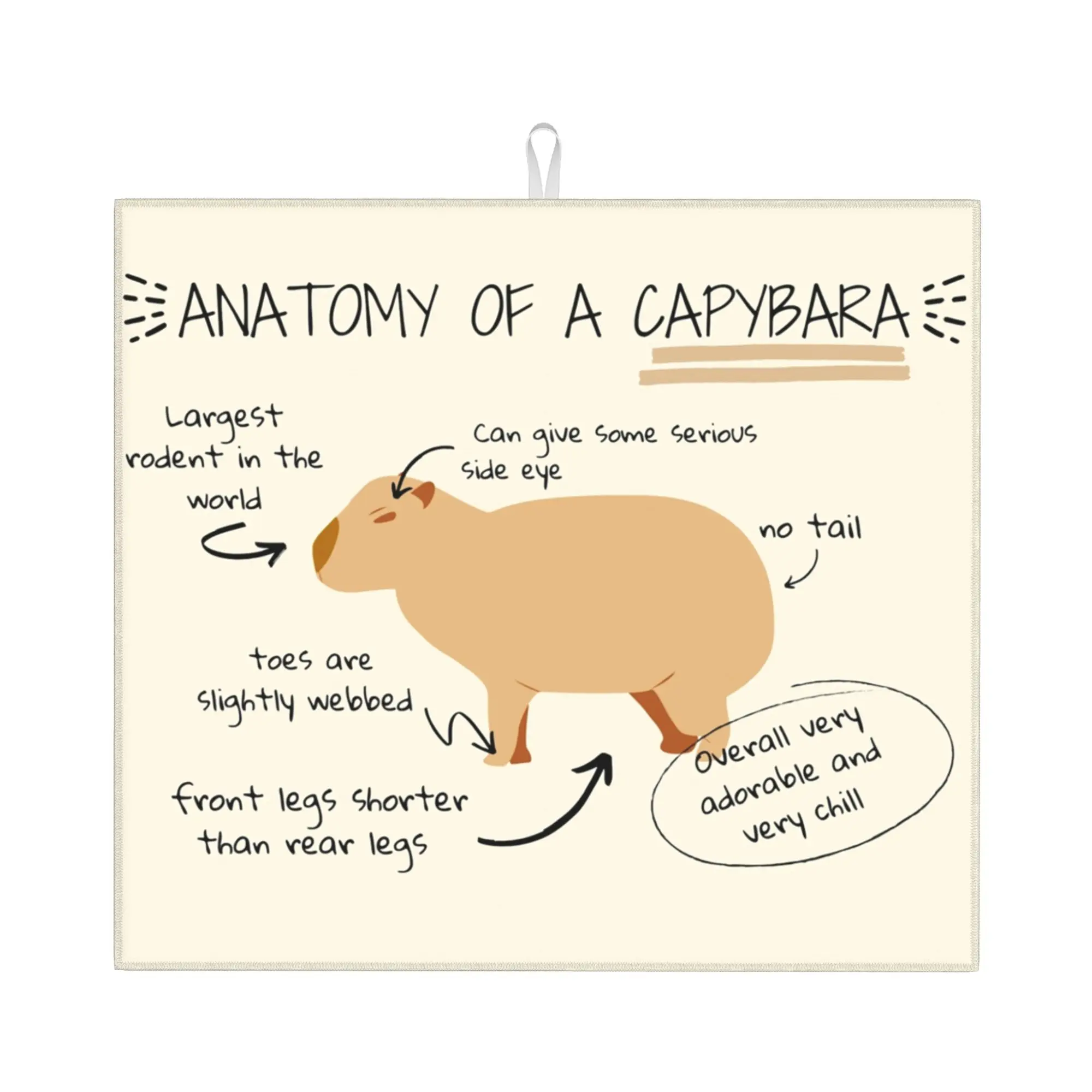 Drying Mat For Kitchen Anatomy Of A Capybara Water Absorbent Waterproof Reusable  On Slip Kitchen Counter Protector Mat