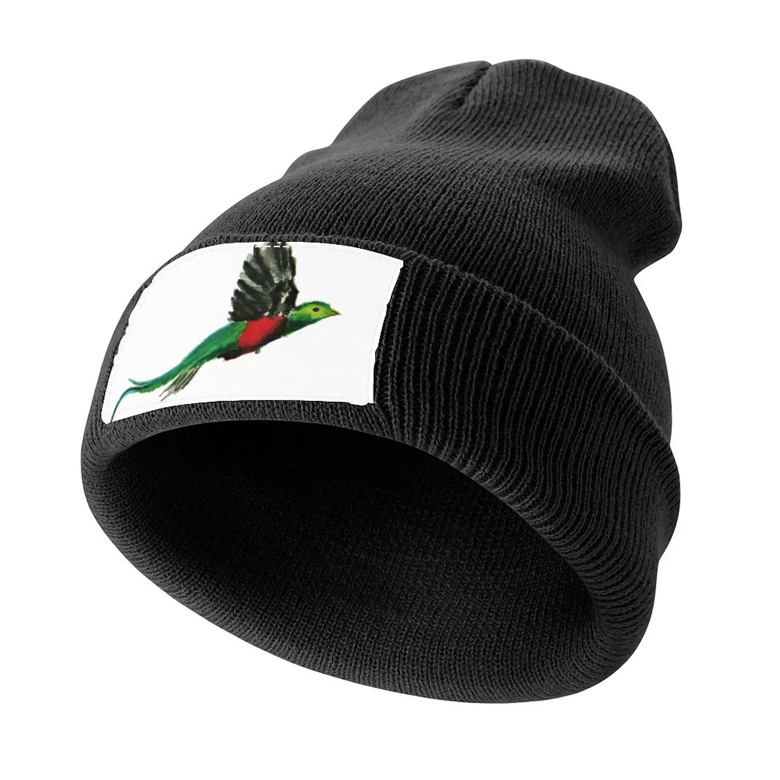 Costa Rica Quetzal Watercolor Knitted Cap funny hat Golf Wear Trucker Hats For Men Women's