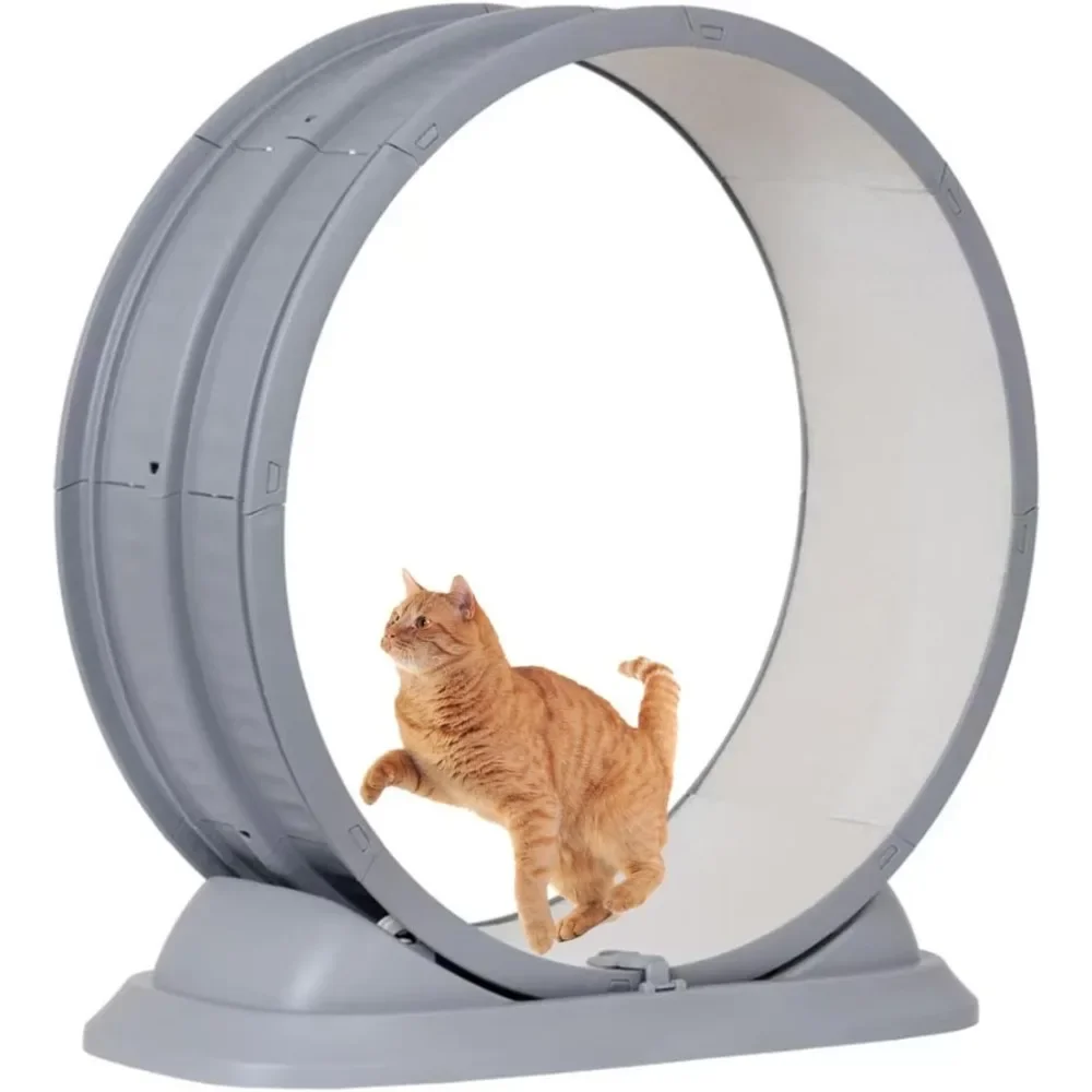 

Cat Treadmill Cat Exercise Wheel Cat Silent Treadmill Suitable for Cats Universal for All Seasons