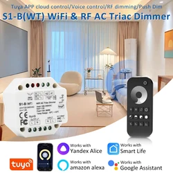 220V Tuya Smart Wifi LED Dimmer S1-B(WT) AC Triac Controller monocolore R1 R11 RT1 RT6 RU4 RS1 Interruttore a pulsante remoto