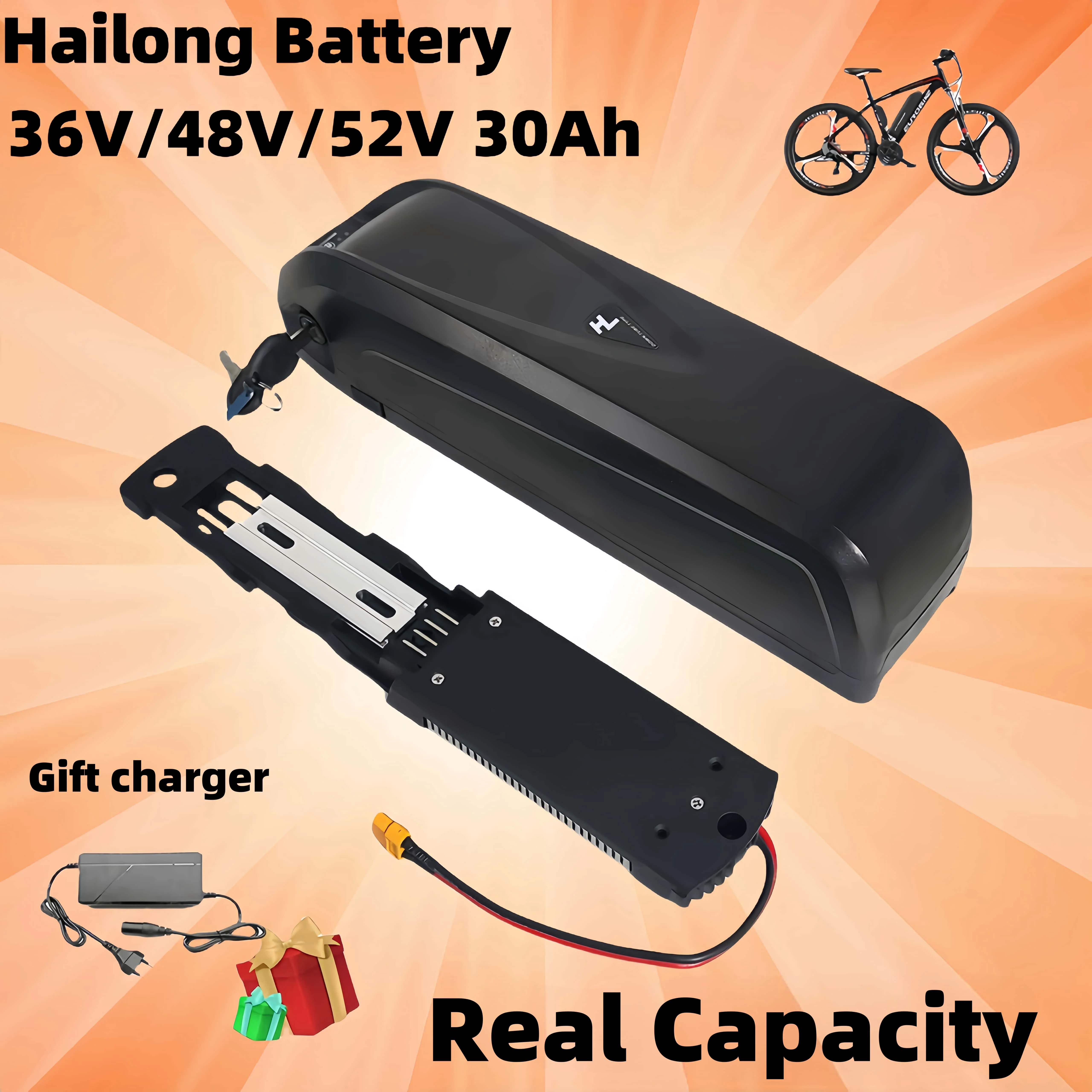 

Hailong battery 48V 30Ah Battery 36V 52V 20A with USB port built-in BMS 250W-1000W Full Capacity power battery pack with charger