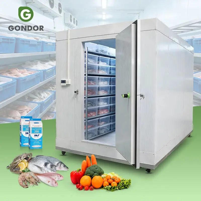 Unidad de Refrigeración, Contenedor Refrigerador Pequeño, Cámara Frigorífica, Máquina de Almacenamiento en Frío, Congelador Industrial en Venta