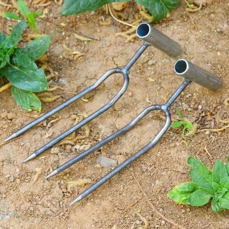 Efficient 2 Prong Garden Tool Root Rakes For Quick Soil Aeration And Removal