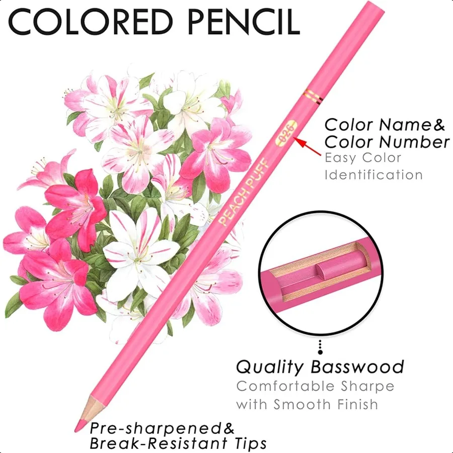 Orange Yellow Colored PencilsOil Based Wooden Colored Pencil Set for Adults Coloring Books Drawing Sketching Art plies 24 Color