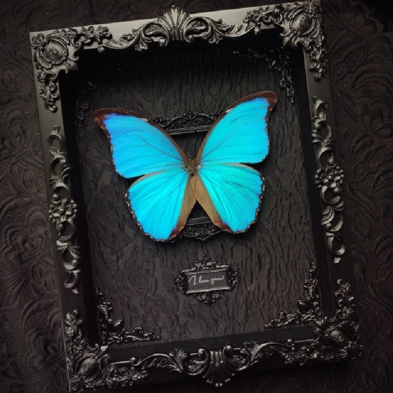 

2060Original Photo Frame Butterfly Home Decoration Insect Specimen Hanging Painting Valentine's Birthday Commemorative Gift Room