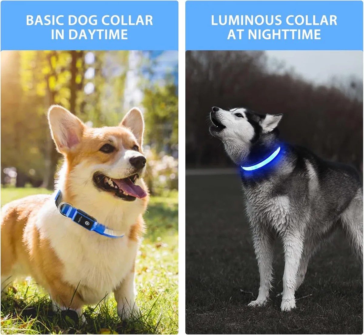 Thumbnail 2 - #28 Best LED Puppy Collars to Buy In 2026