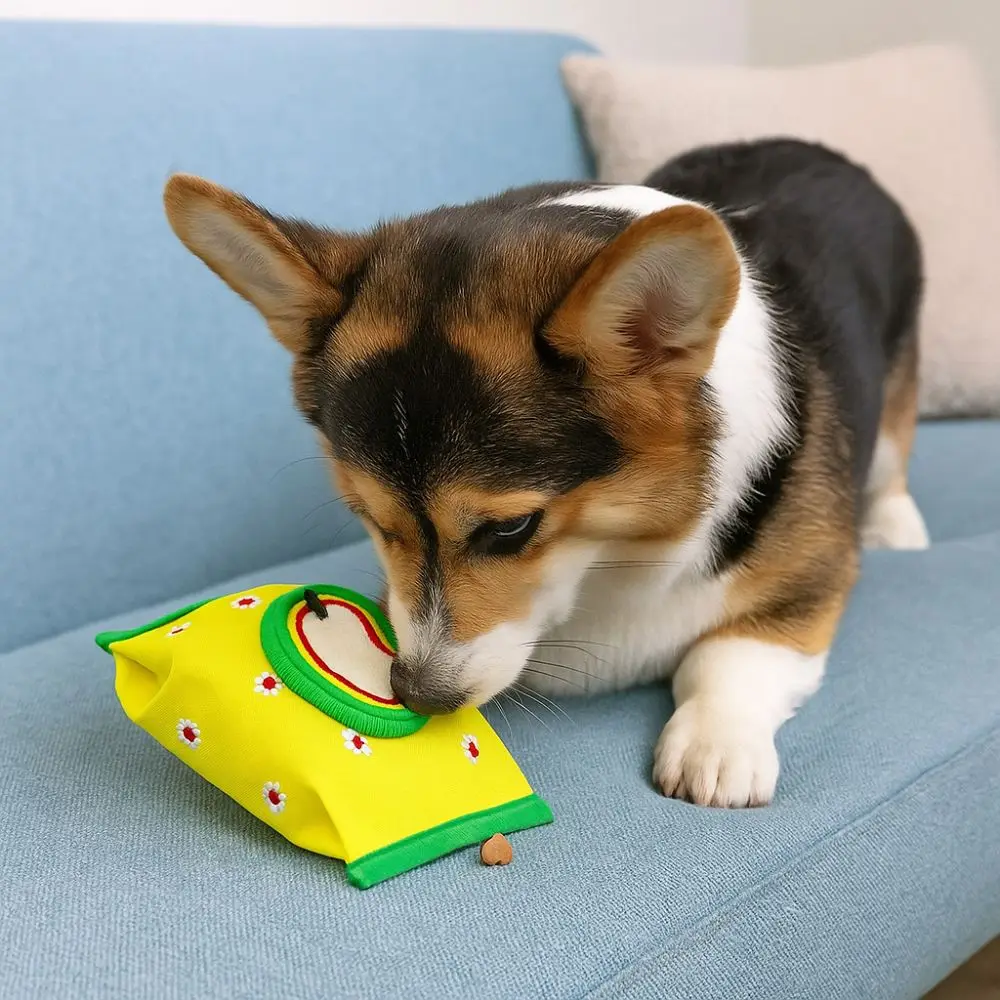 

Bite Resistant Pet Leakage Sniffing Toy Sound Square/Rectangle Dog Training Toy Thickening Dog Hide Food Puzzle Toy