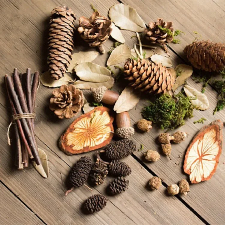 Droge Bloem Creatieve Sticker Materiaal Kleuterschool Handgemaakte Wax Merk Diy Bloem Taart Decoratie kaars maken velas