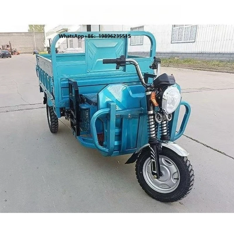 New Energy  Three Wheel Trike Motorized Electric Tricycle Adult in Stock