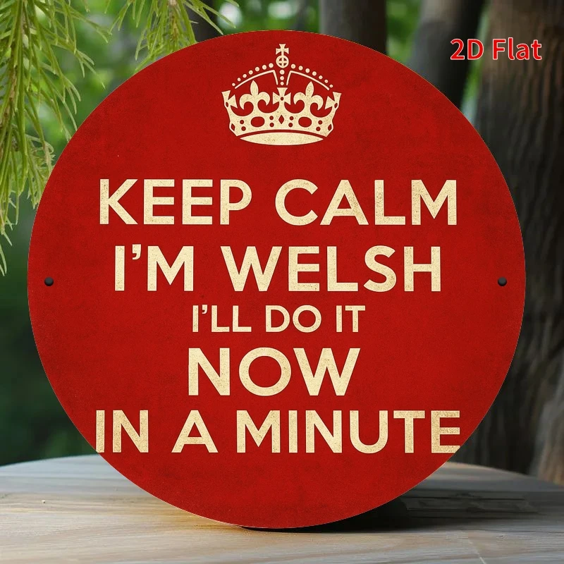 2D Flat, 2D Flat Funny Welsh Saying Metal Plate - 