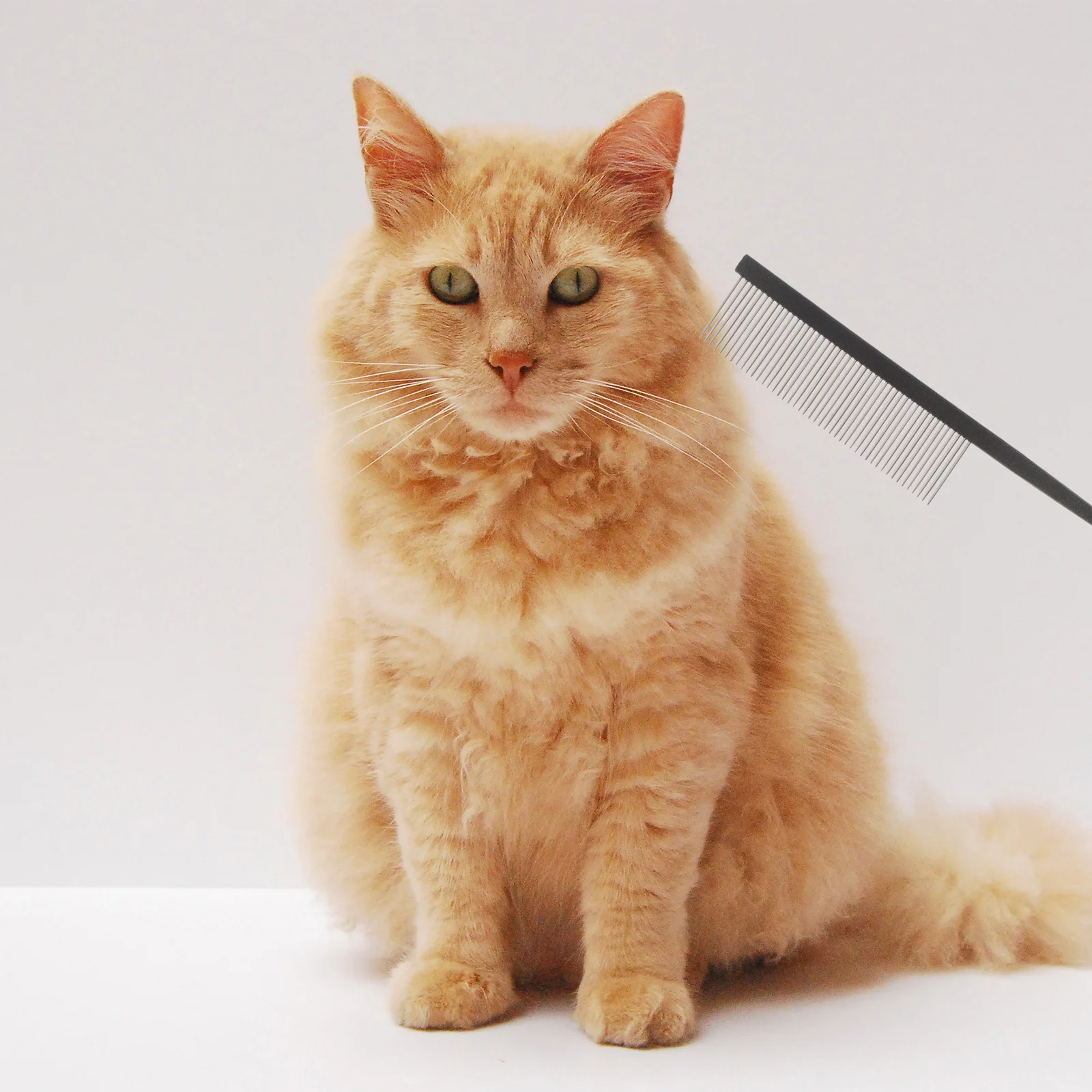 

3Pcs Fine Tooth Pet Stainless Steel Comb Hair Removal Tool Metal Dog Cat Grooming Deshedding Comb Tangle Removal Professional