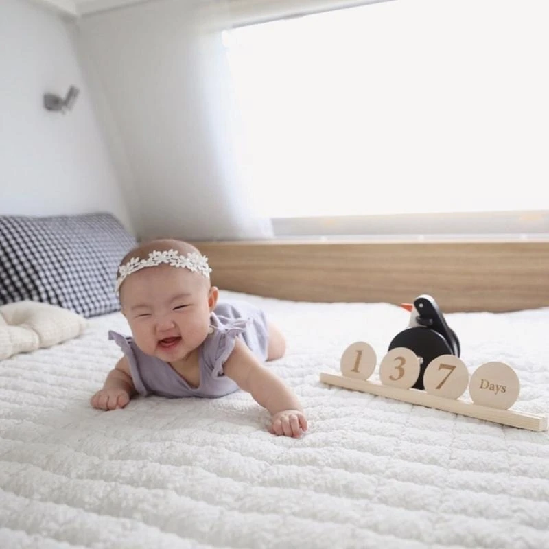 J15U Hölzerne monatliche Meilenstein-Fotokarten, Schallplatten, frühes Lernen, Multiplikation, Holzspäne, Baby, Kinder,