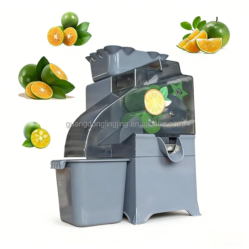 Commercial Lemon Kumquat Juicer Fully Automatic Fruit Juice Residue Cold Press Juice Extractor Stainless Steel Filter