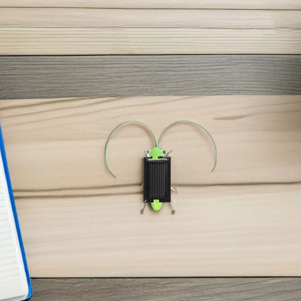 

Набор из 4 реалистичных солнечных моделей насекомых для изучения на природе и обучения детей