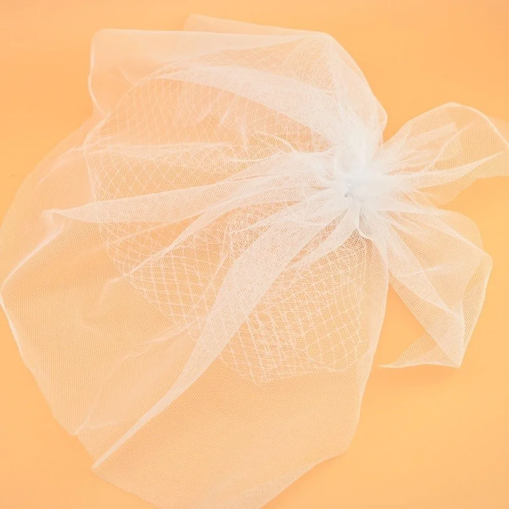 Double Layer Birdcage Veil Retro Style Net Design Bridal Hair Clip Hair Clip Attachment White Color Mesh Hair Veil For Bride