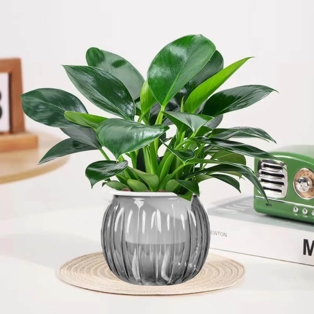 أصيص زهور مائي على الطراز الشمالي مصنوع من البلاستيك مع حبل قطني يمتص الماء وشفاف ومتين